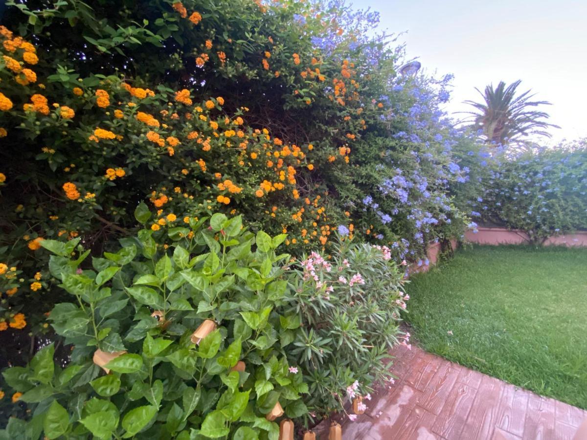 Apartamento Jardin Sanlucar ซันลูการ์เดบาร์ราเมดา ภายนอก รูปภาพ